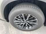 Used 2025 Lexus NX SUV