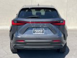 Used 2025 Lexus NX SUV