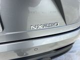 Used 2025 Lexus NX SUV