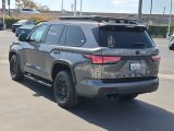 Used 2026 Toyota Sequoia SUV