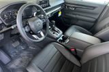 New 2026 Honda CR-V SUV