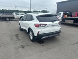 Used 2022 Ford Escape SUV