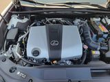 Used 2019 Lexus ES Sedan