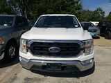 Used 2021 Ford F-150 Truck