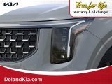 New 2026 Kia Carnival MPV Hybrid Van