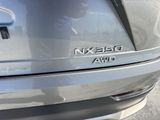 Used 2024 Lexus NX SUV