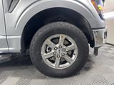 Used 2025 Ford F-150 Truck