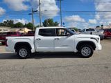Used 2024 Toyota Tundra Truck