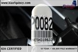 Used 2024 Kia Carnival Van