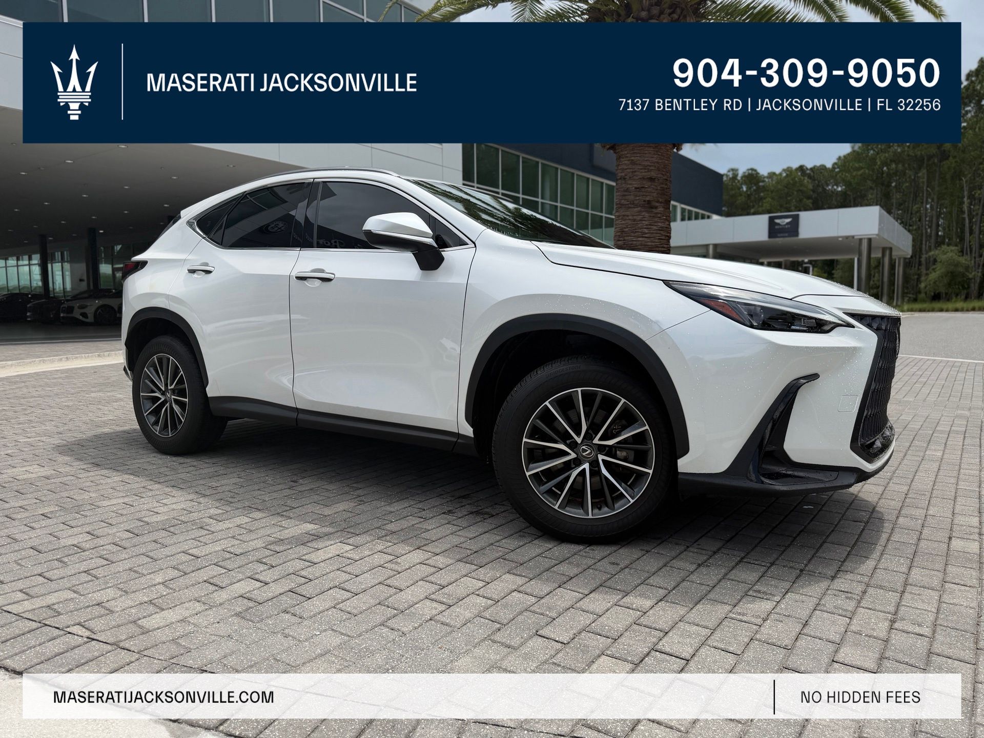 White Pearl 2024 Lexus NX 250 FWD SUV / Crossover Front-Wheel Drive 8-Speed Automatic