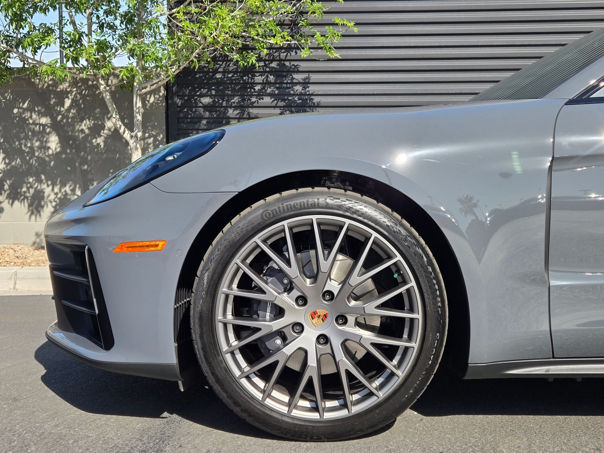 2025 Panamera picture #8