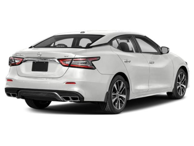 2023 Nissan Maxima SV - 2