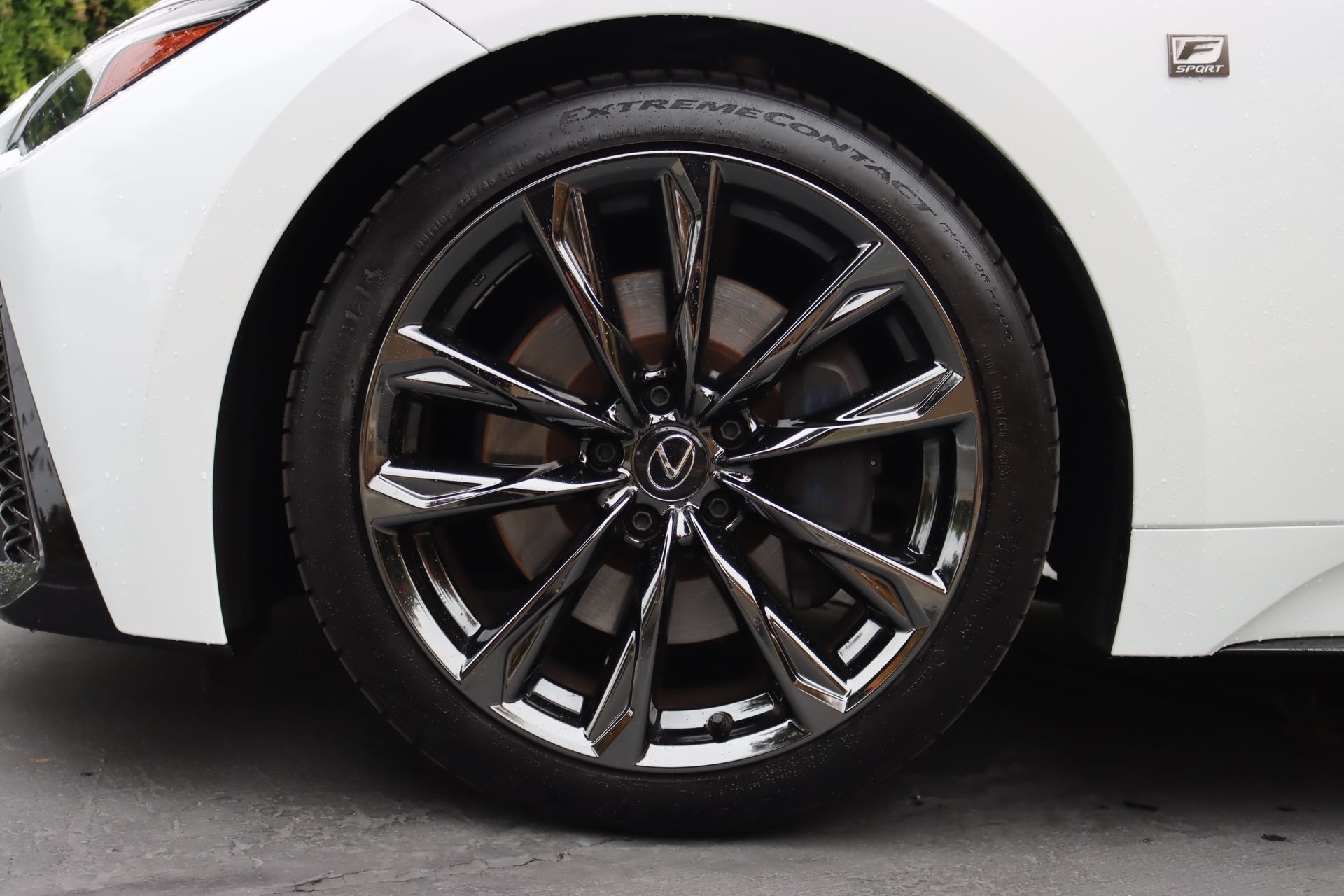 2024 Lexus IS IS photo