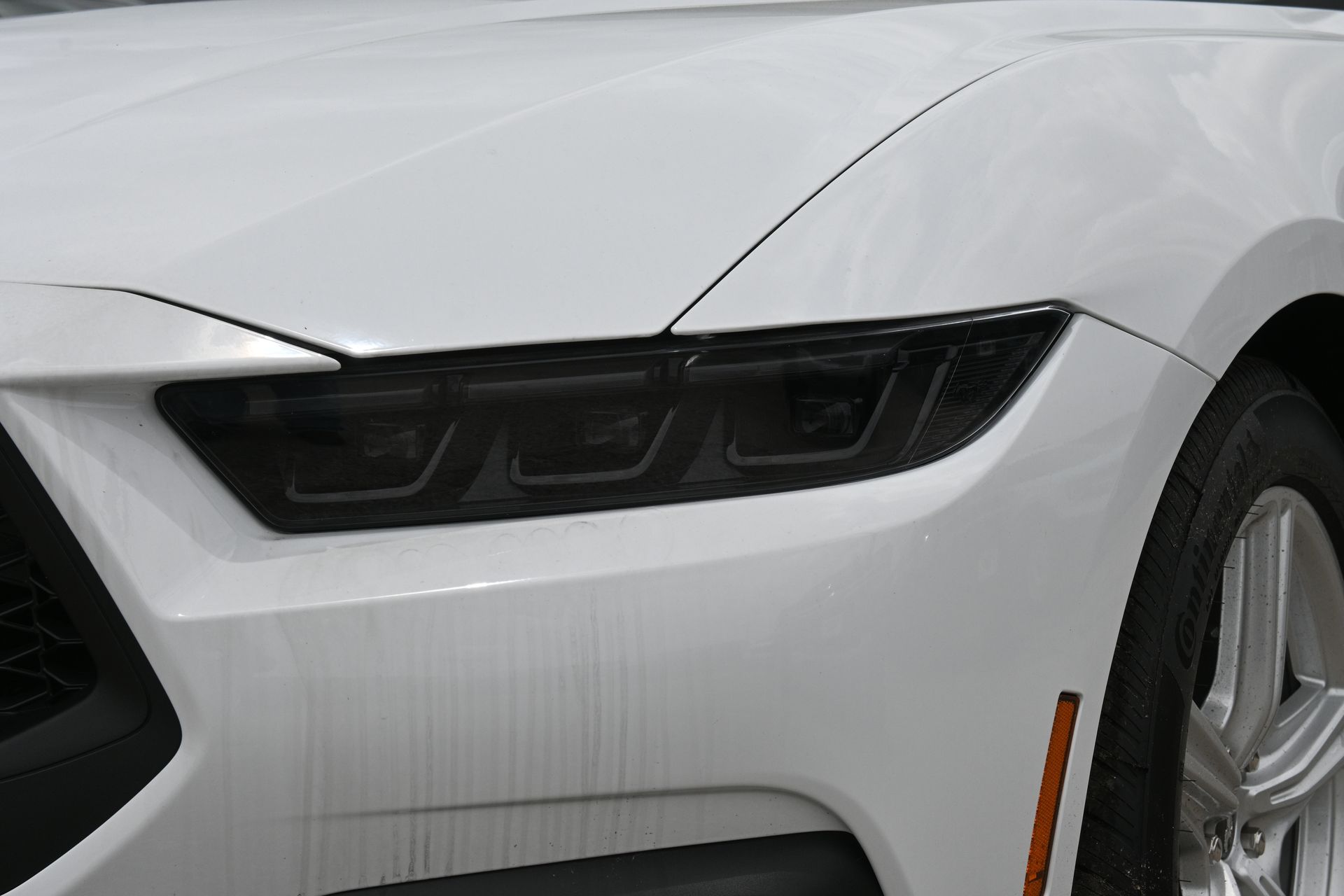 2026 Ford Mustang EcoBoost White at Wharton Ford