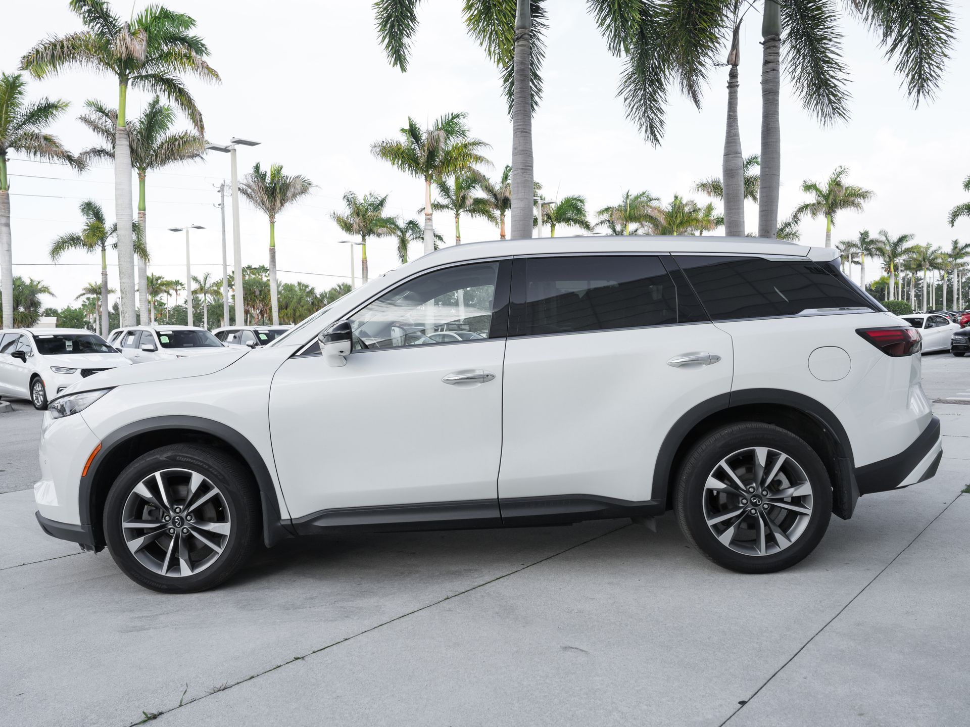 View vehicle photo 7