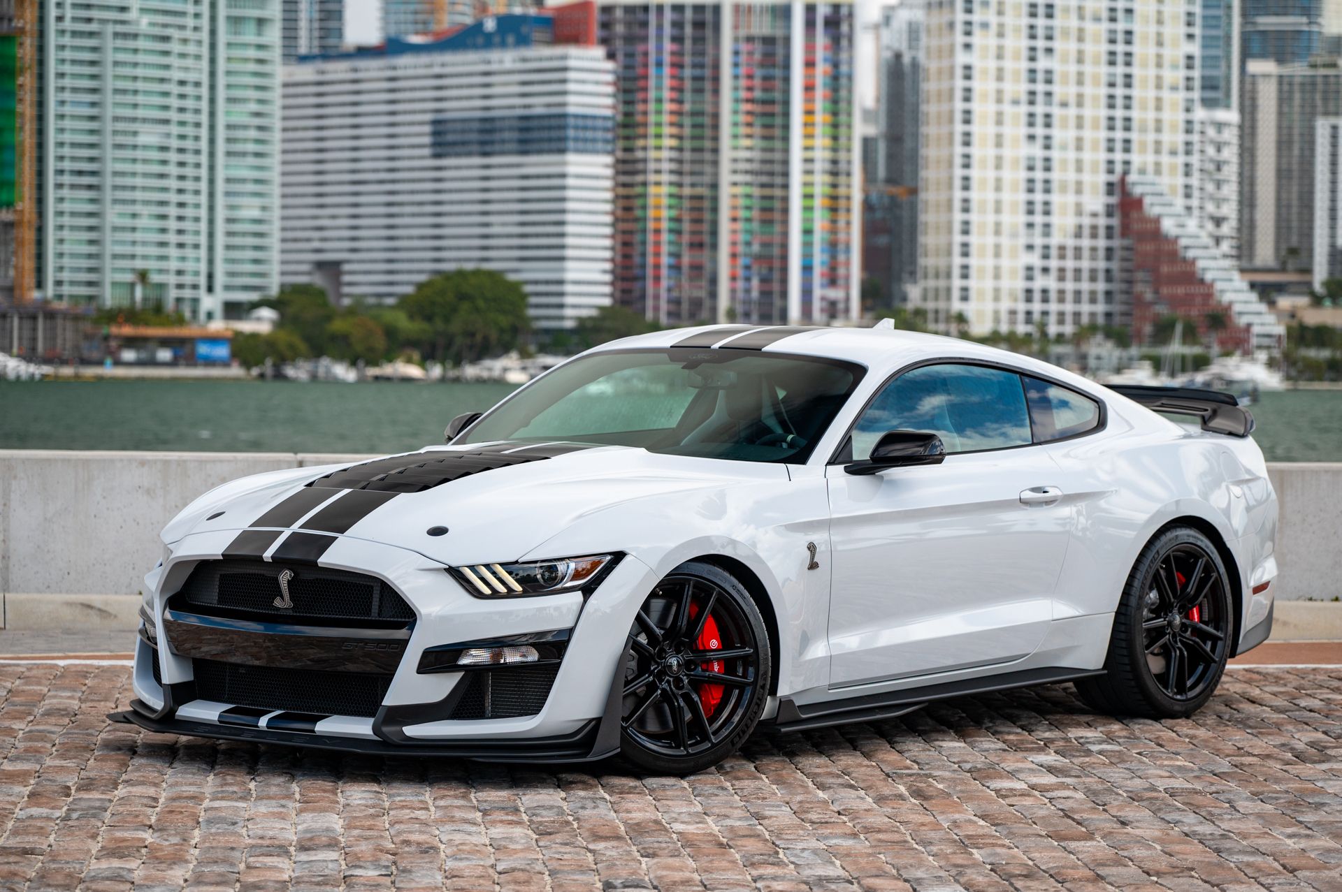 2022 Ford Mustang Shelby GT500 - Photo 10