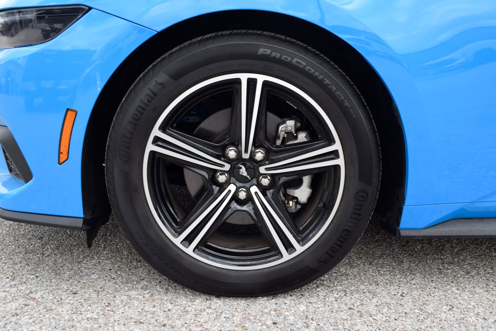 2025 Ford Mustang EcoBoost Blue at Cook Ford
