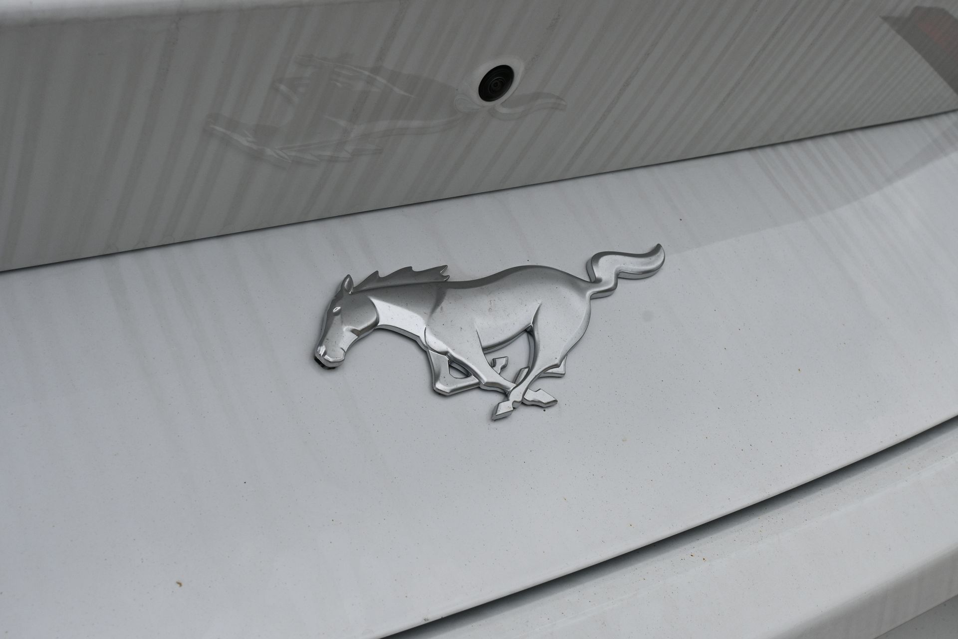 2026 Ford Mustang EcoBoost White at Wharton Ford