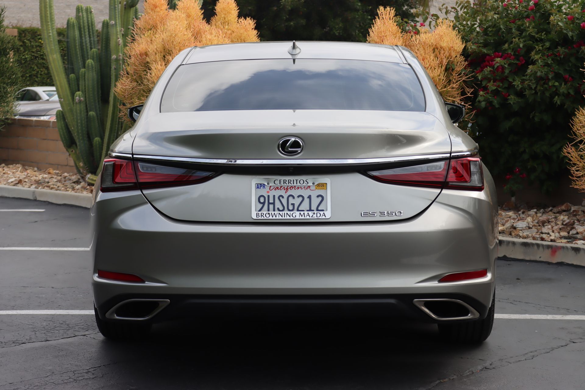 2021 Lexus ES ES photo