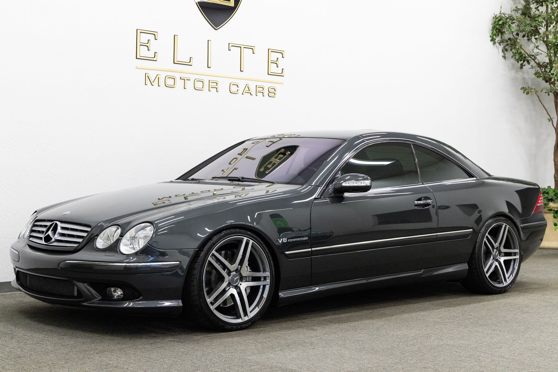 Tectite Gray Metallic 2004 Mercedes-Benz CL-Class Coupe Rear-Wheel Drive 5-Speed Automatic Overdrive