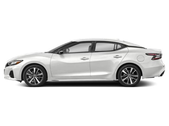 2023 Nissan Maxima SV - 1