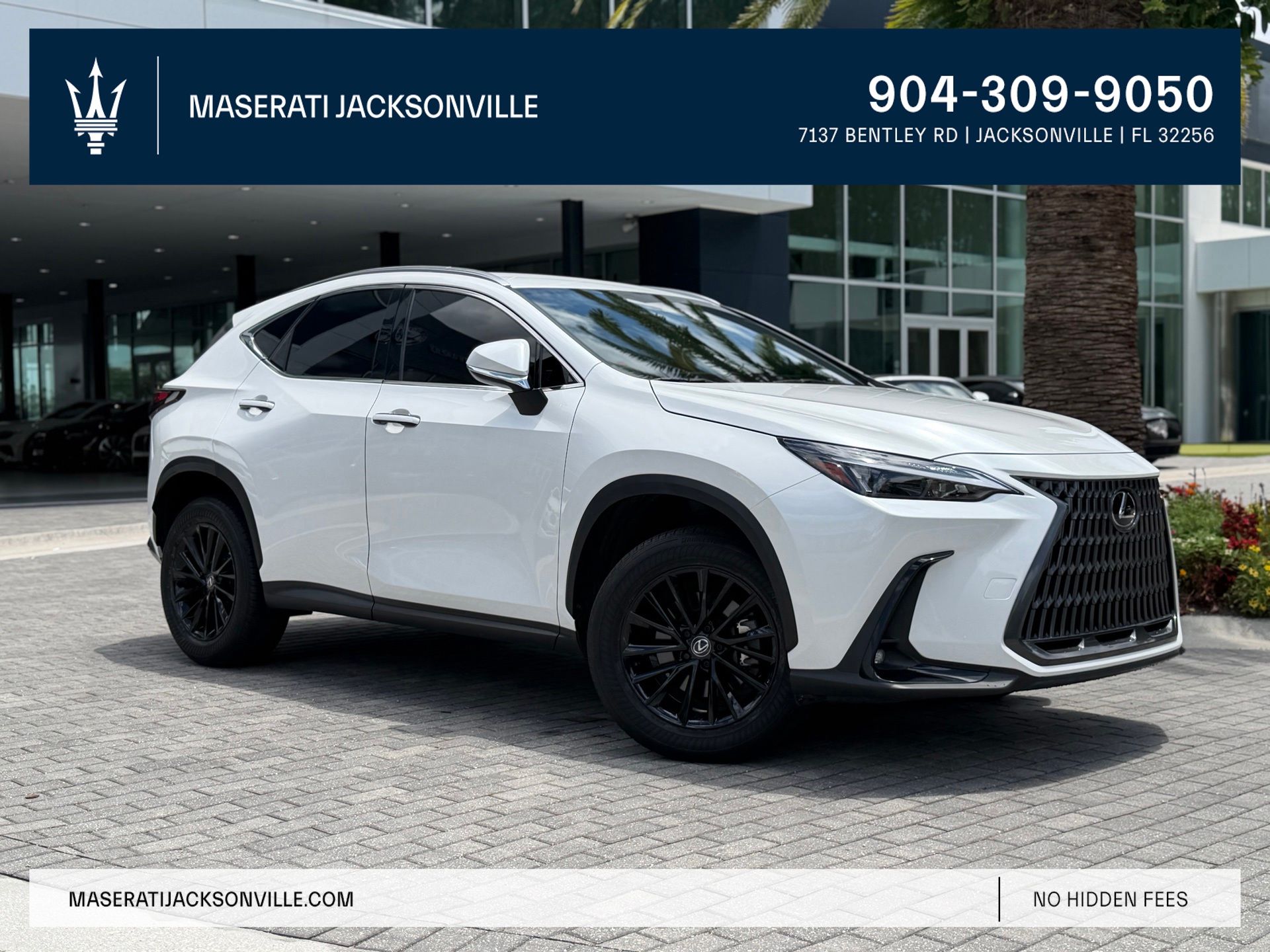 White Pearl 2024 Lexus NX SUV / Crossover Front-Wheel Drive 8-Speed Automatic