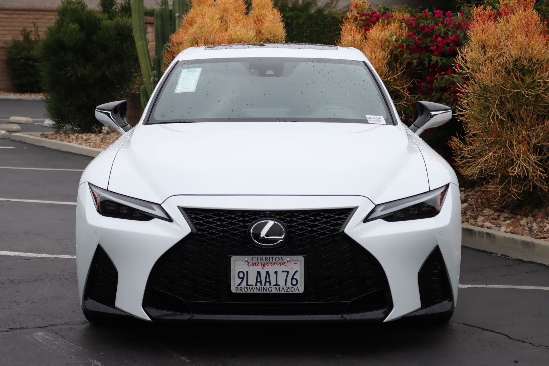 2024 Lexus IS IS photo