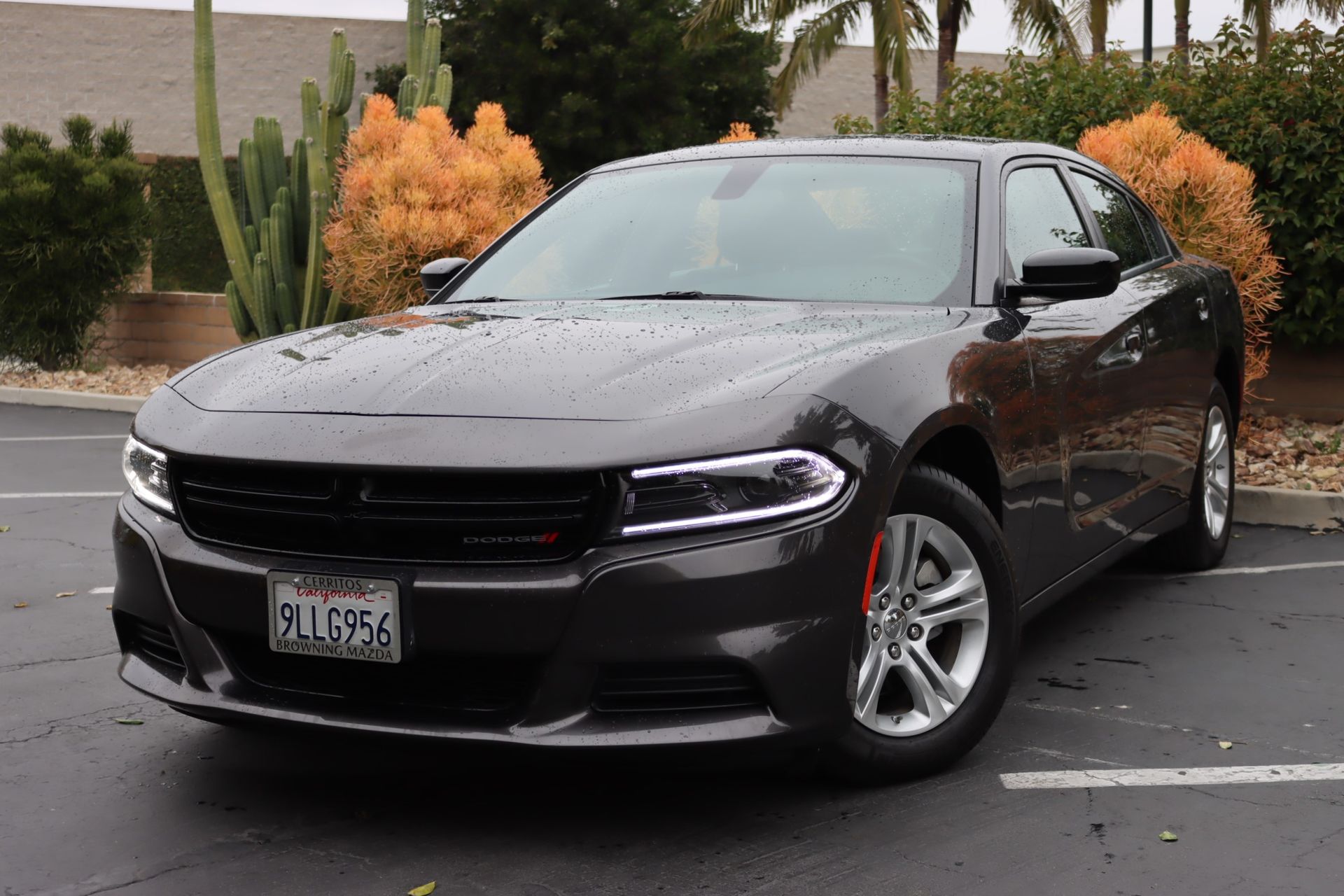 2023 Dodge Charger SXT photo