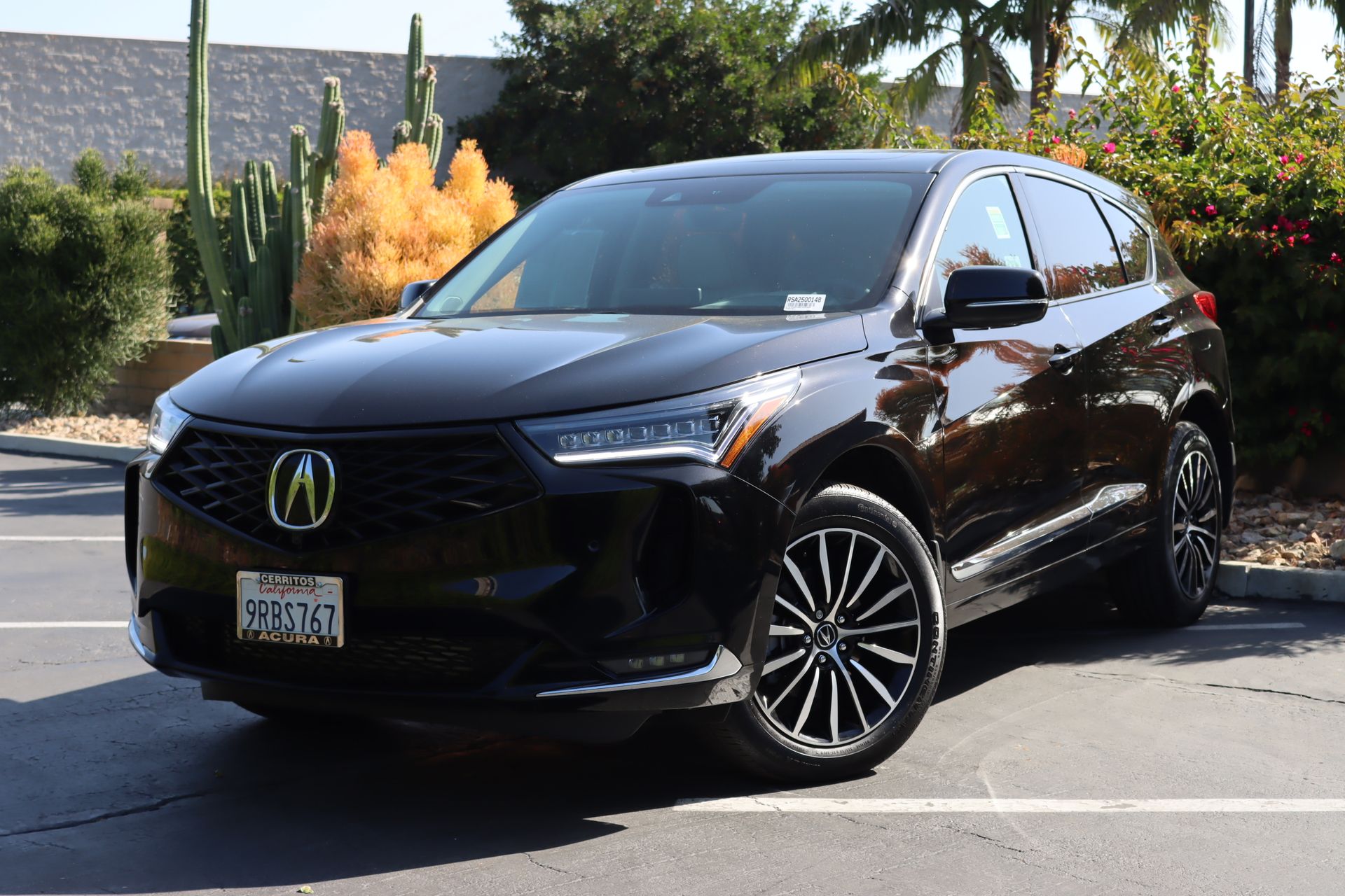 RDX SH-AWD w/Advance Package