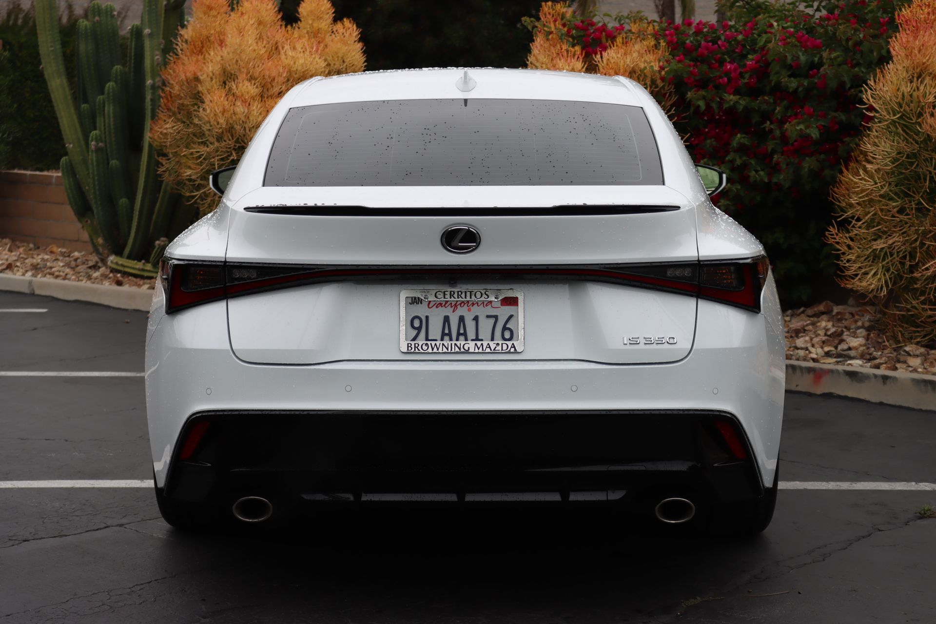2024 Lexus IS IS photo