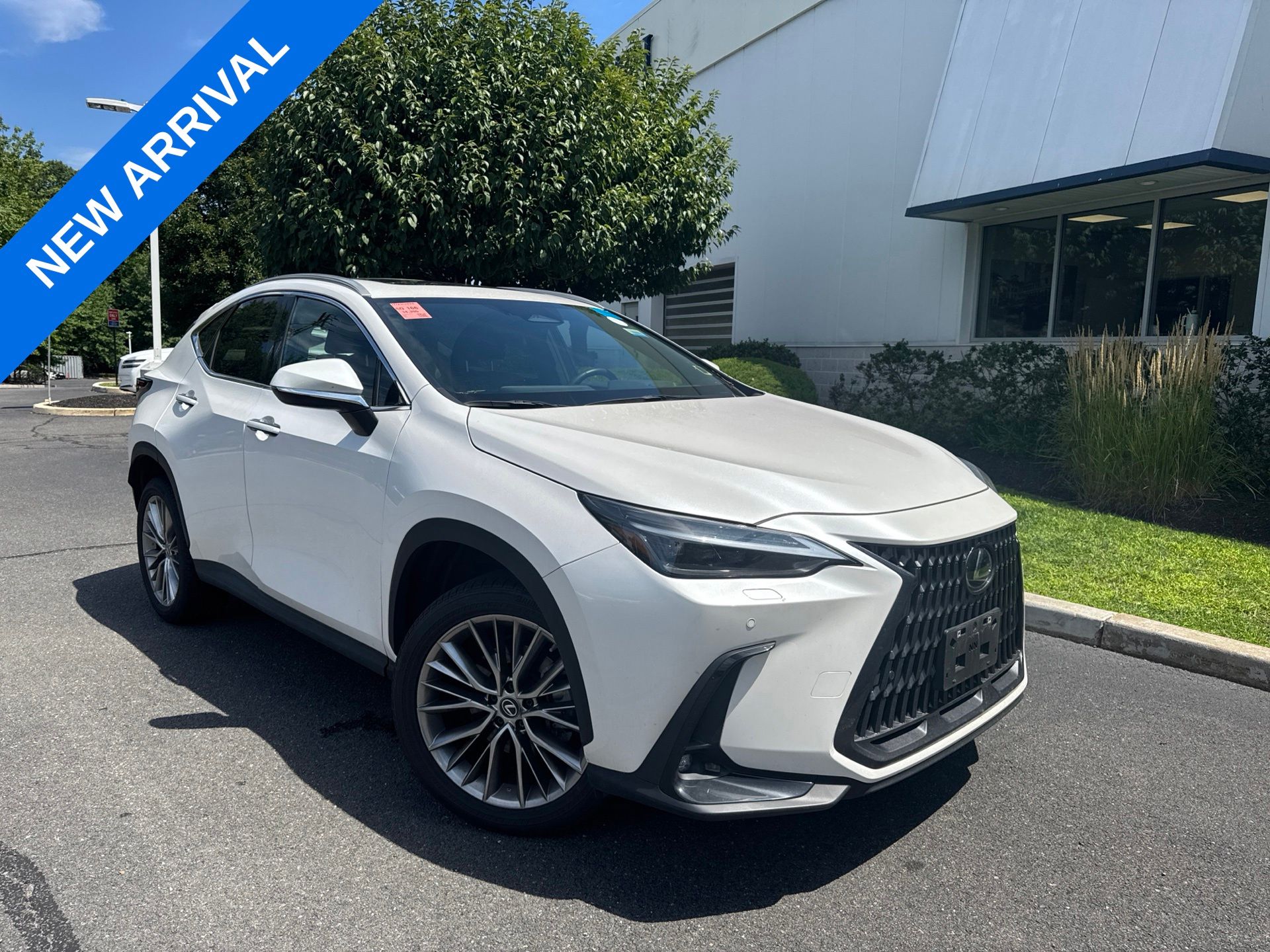 2023 Lexus NX 350 Luxury