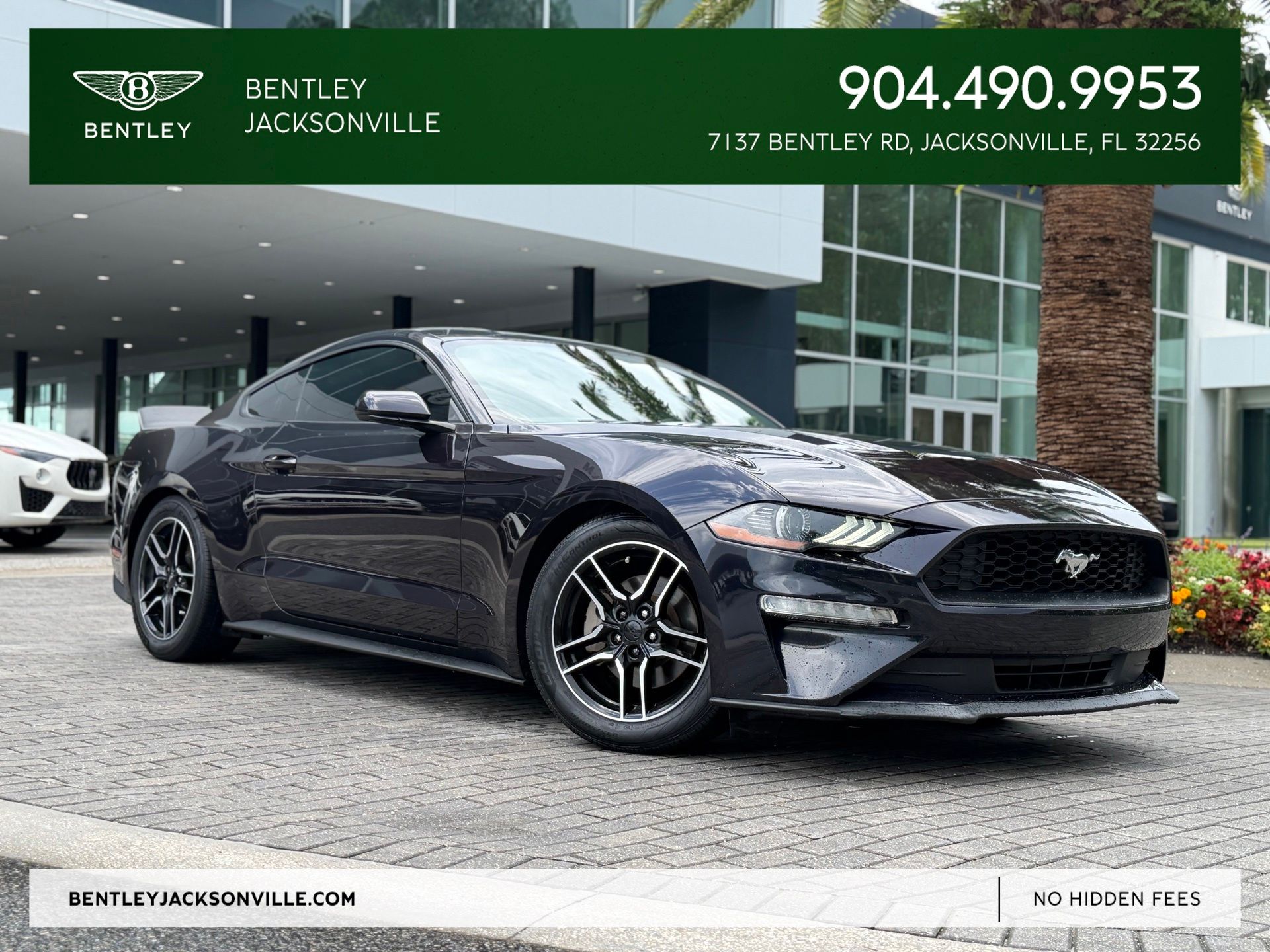 Purple Metallic 2023 Ford Mustang Coupe Rear-Wheel Drive Automatic