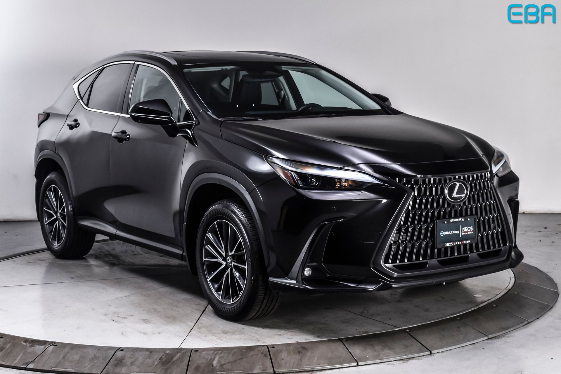 2025 Lexus NX 350h 350h Premium AWD's photo