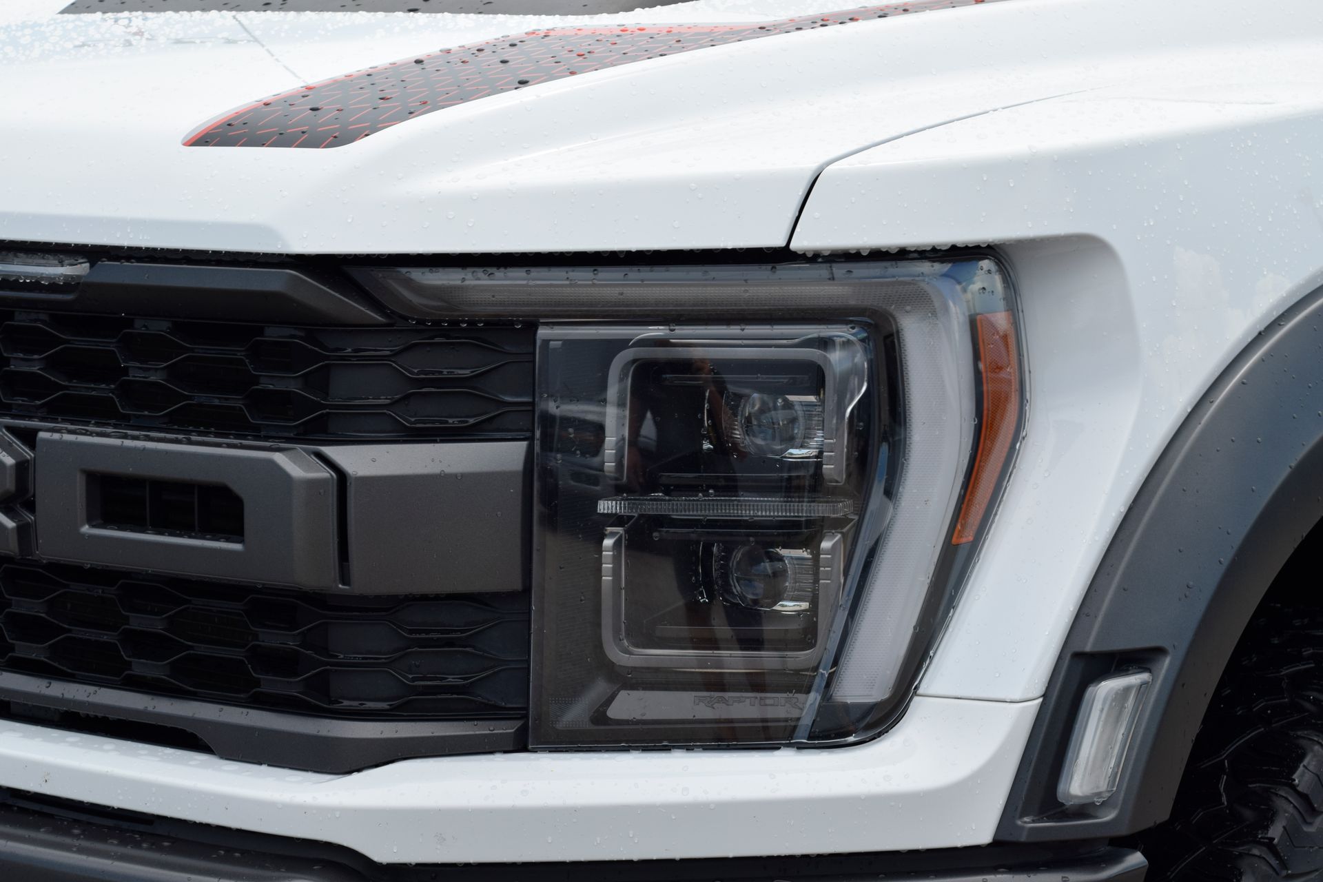 2022 Ford F-150 Raptor White at Martin Chrysler Dodge Jeep Ram