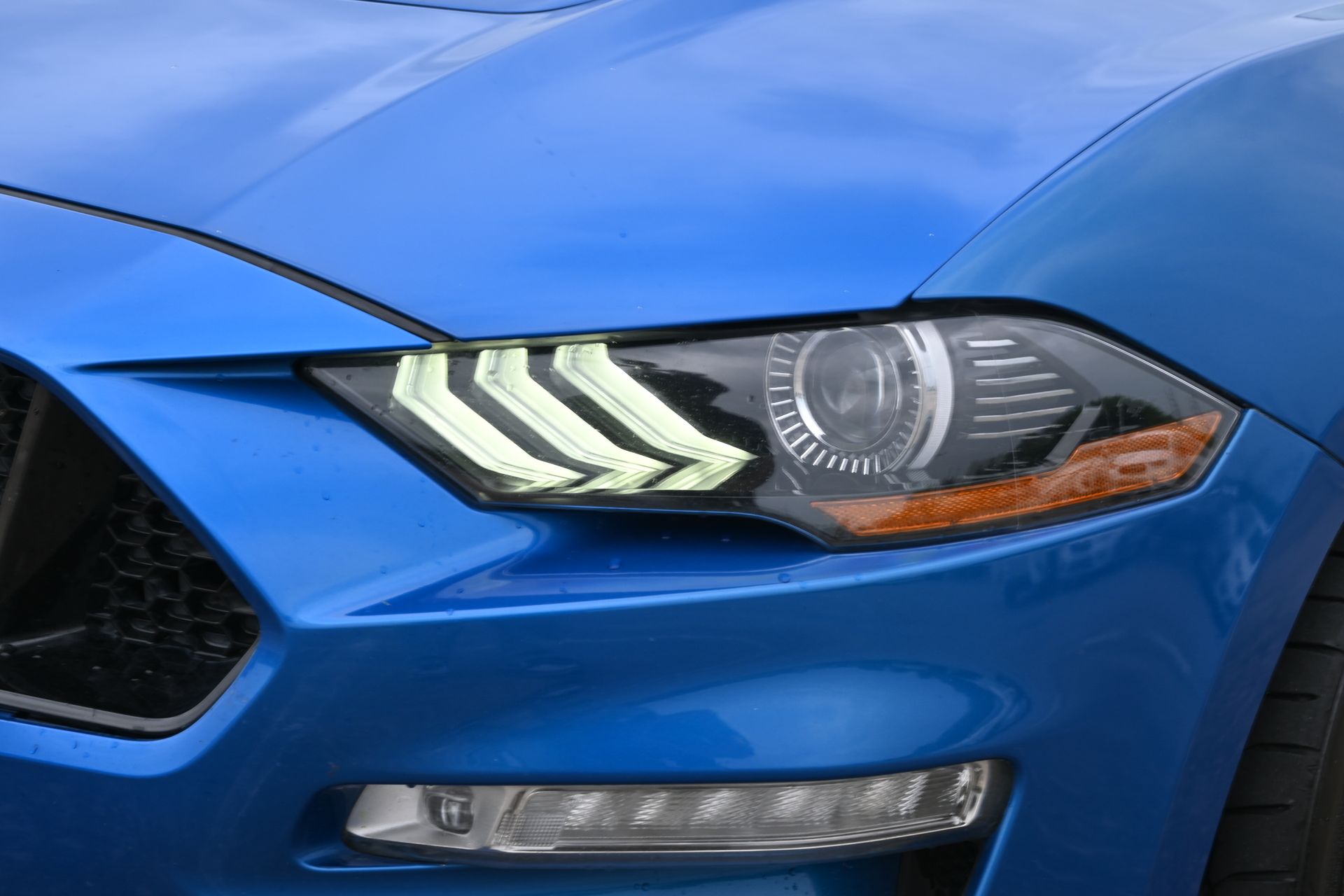 2019 Ford Mustang GT Premium Blue at Emmons Autoplex