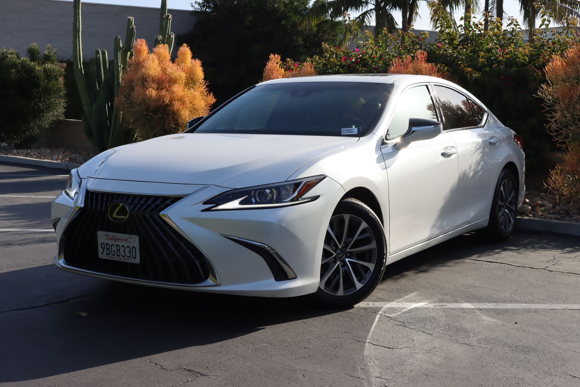 2022 Lexus ES ES photo