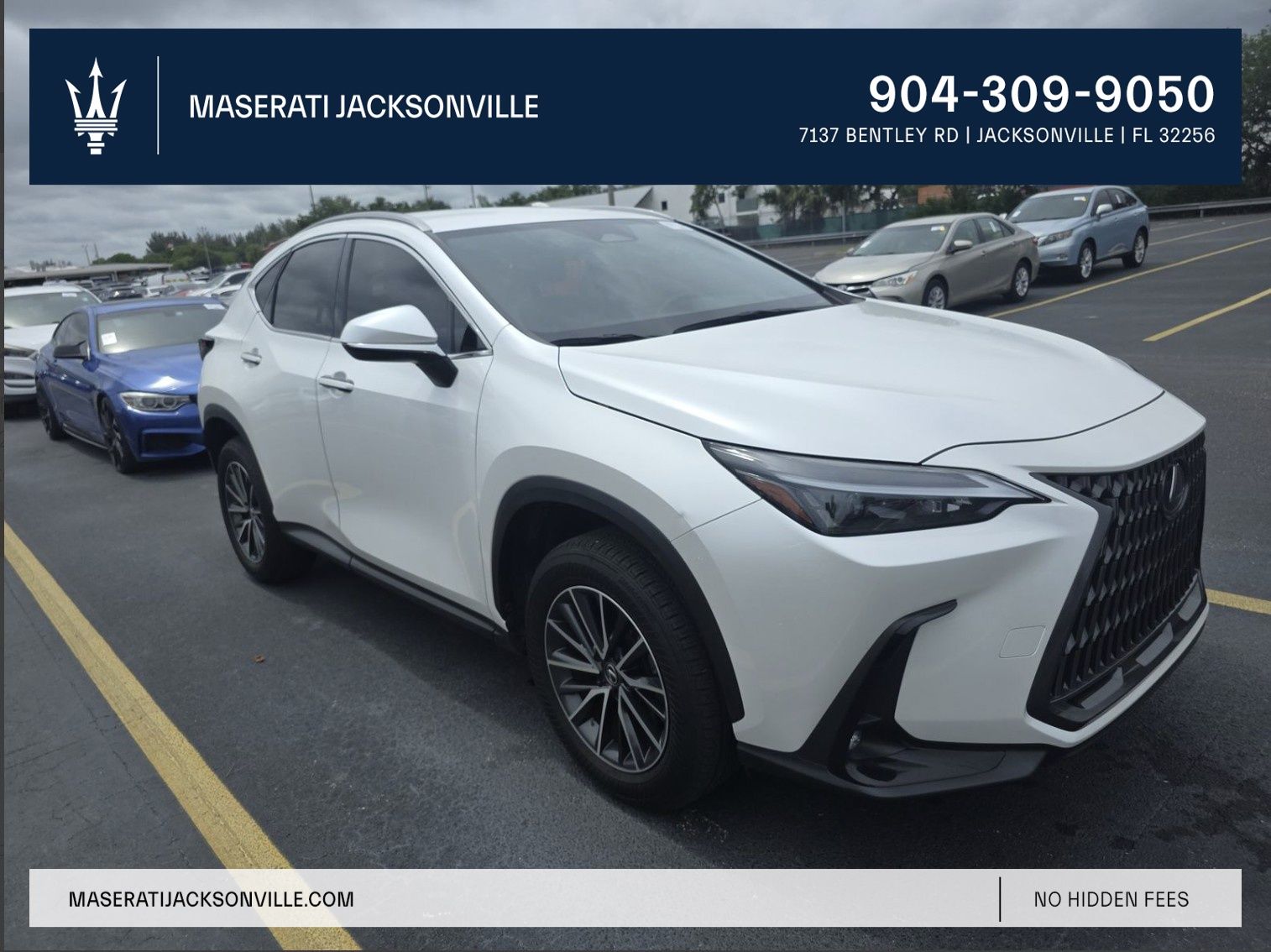 White Pearl 2024 Lexus NX 250 FWD SUV / Crossover Front-Wheel Drive 8-Speed Automatic