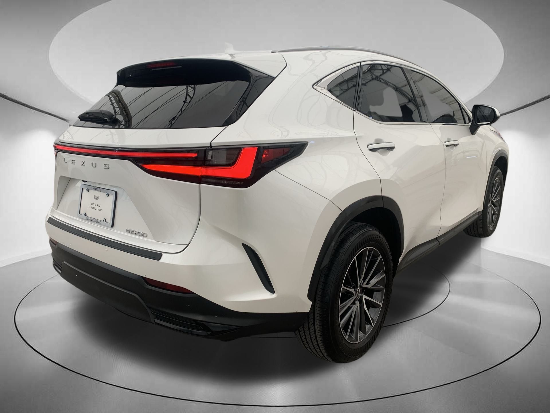 2022 Lexus NX 250 Base 5