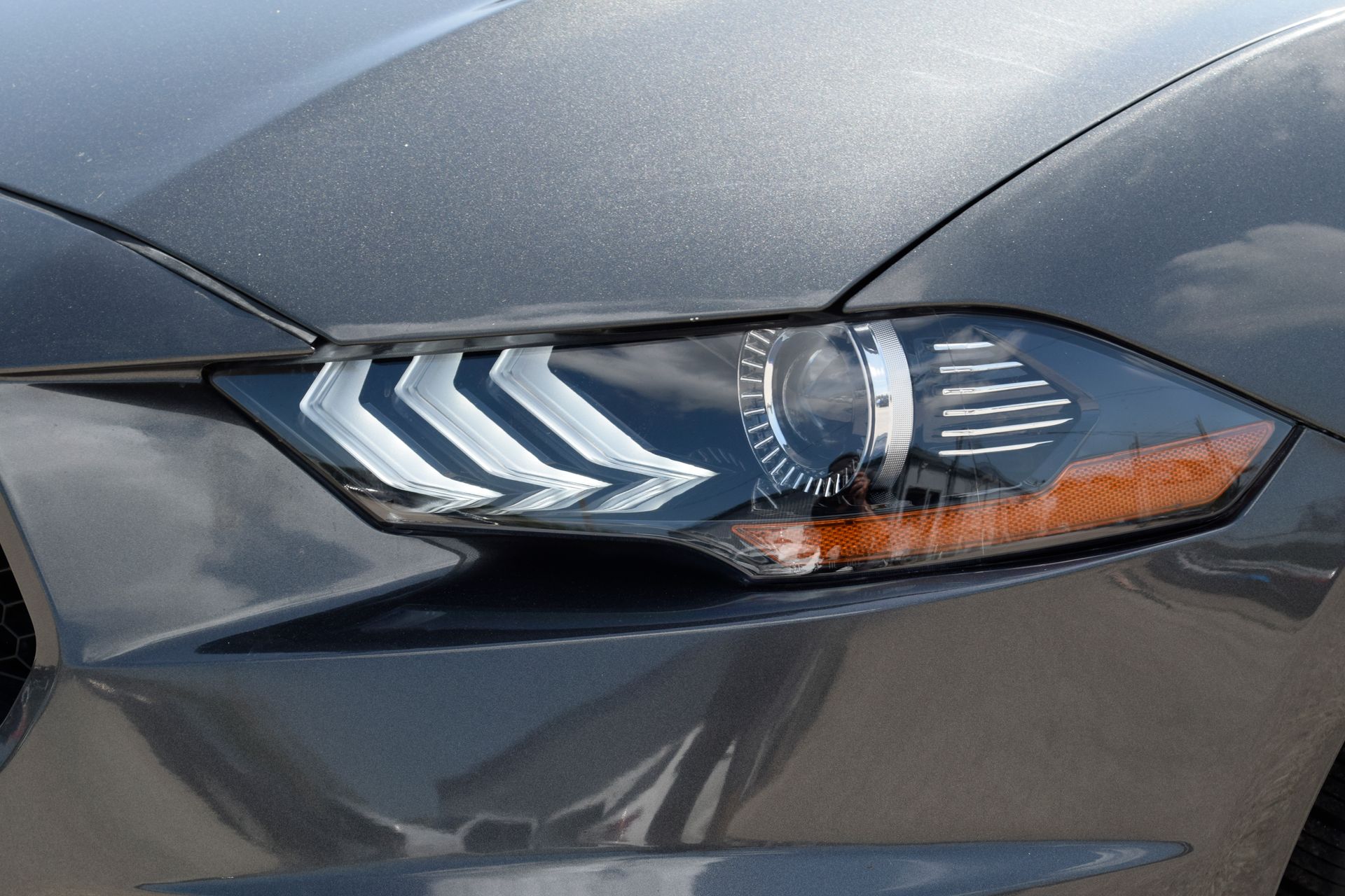 2019 Ford Mustang GT Gray at DeMontrond Automotive Group