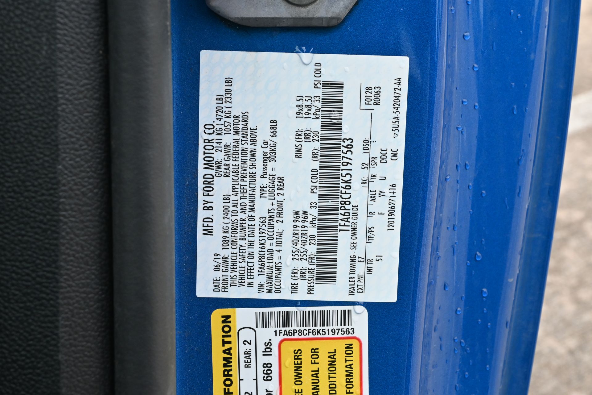 2019 Ford Mustang GT Premium Blue at Emmons Autoplex