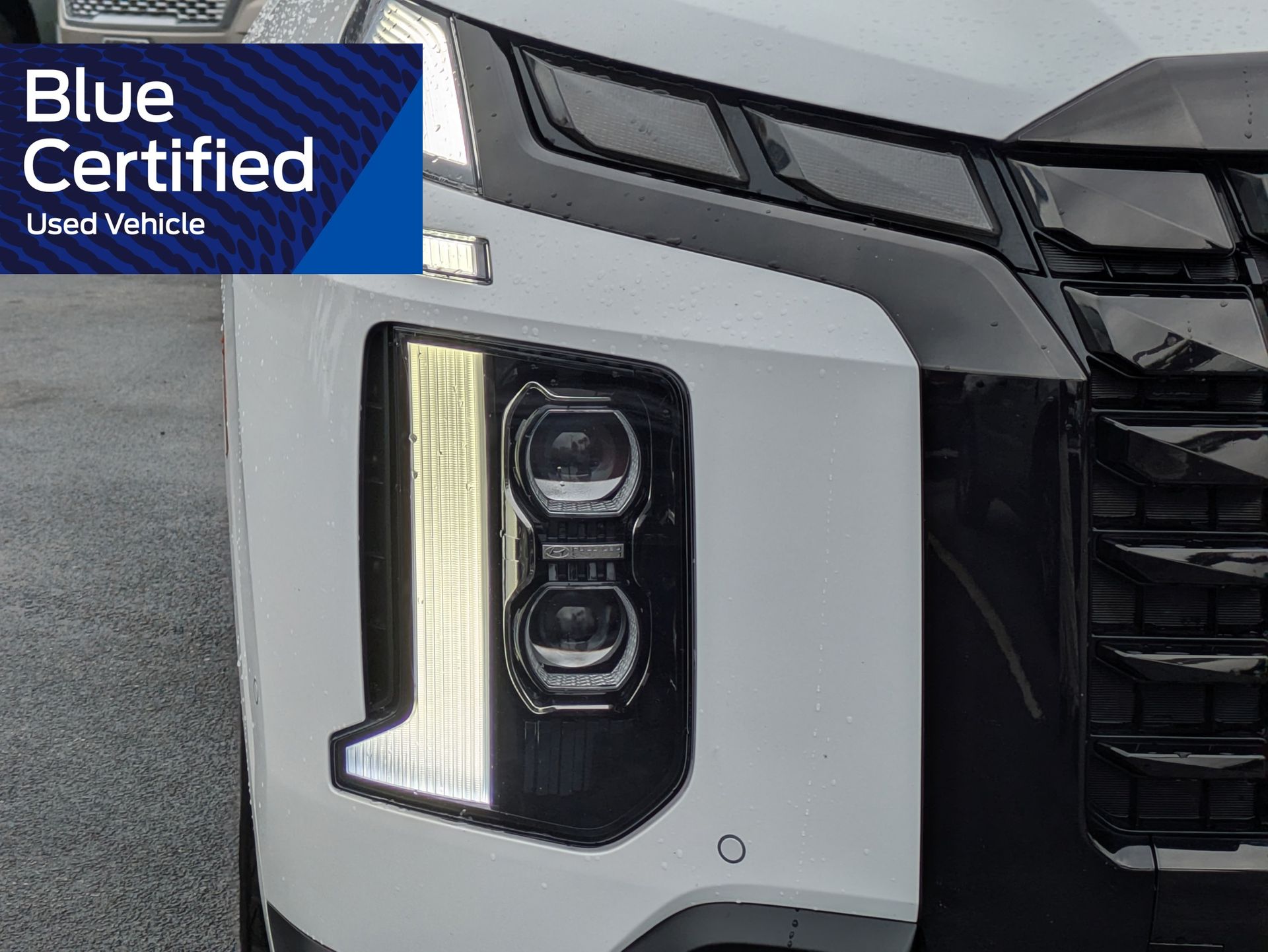 2024 Hyundai Palisade Calligraphy Night Edition White at Bob Mills Chevrolet