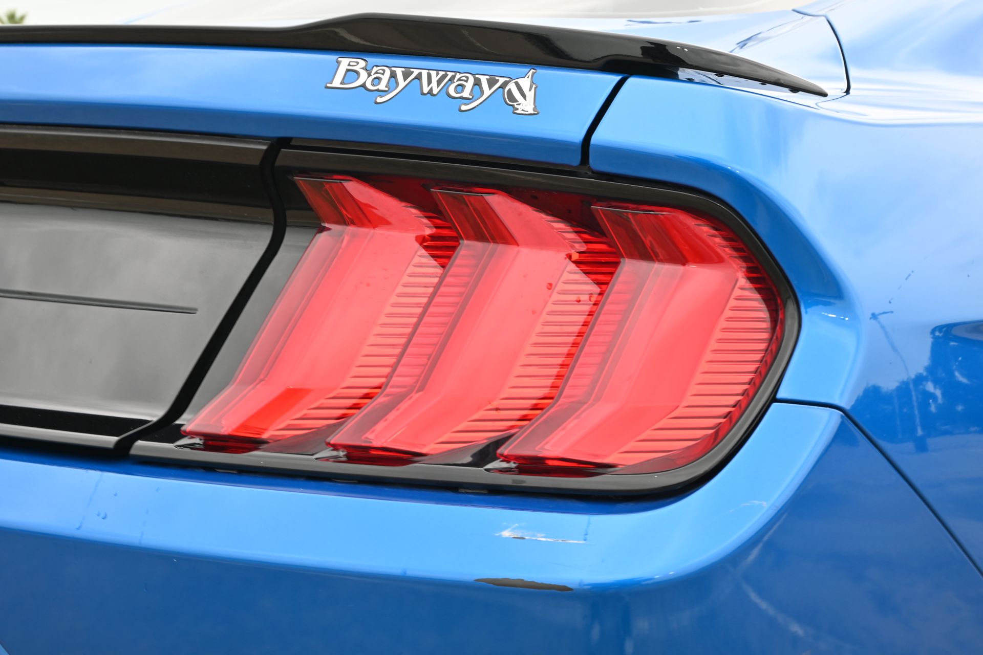 2019 Ford Mustang GT Premium Blue at Emmons Autoplex