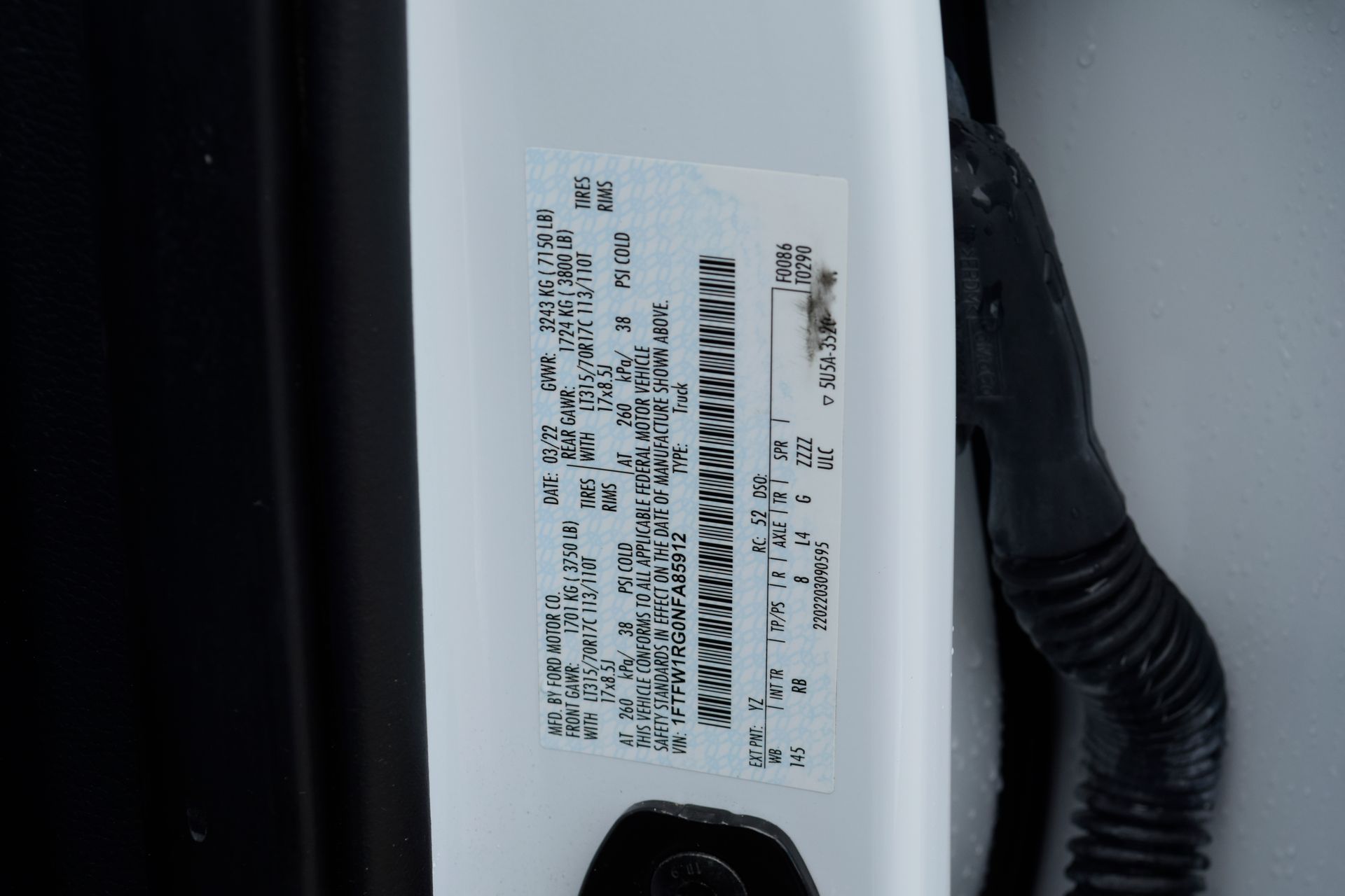 2022 Ford F-150 Raptor White at Martin Chrysler Dodge Jeep Ram