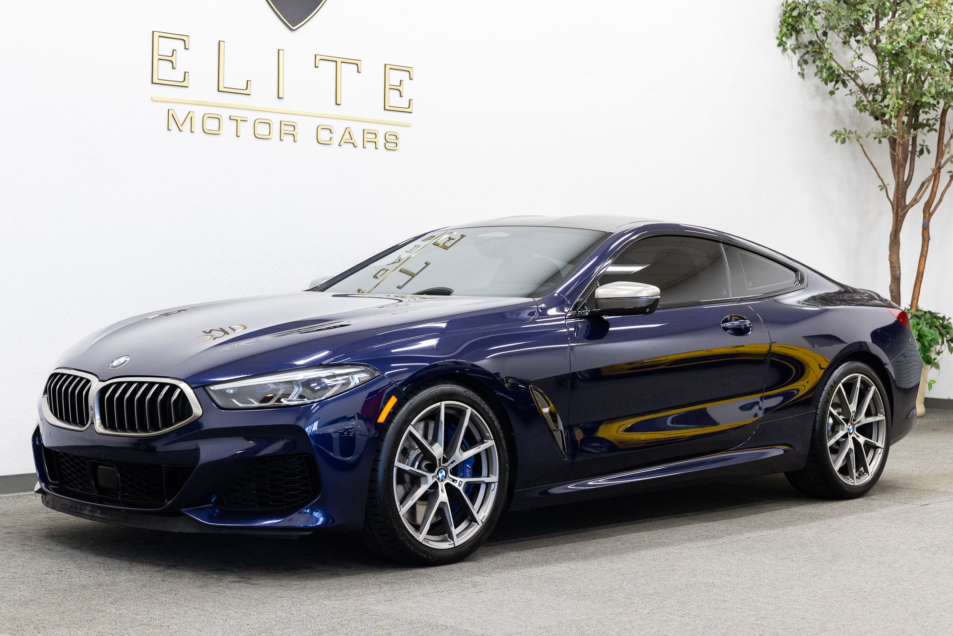 Tanzanite Blue Metallic 2019 BMW 8 Series Coupe All-Wheel Drive 8-Speed Automatic