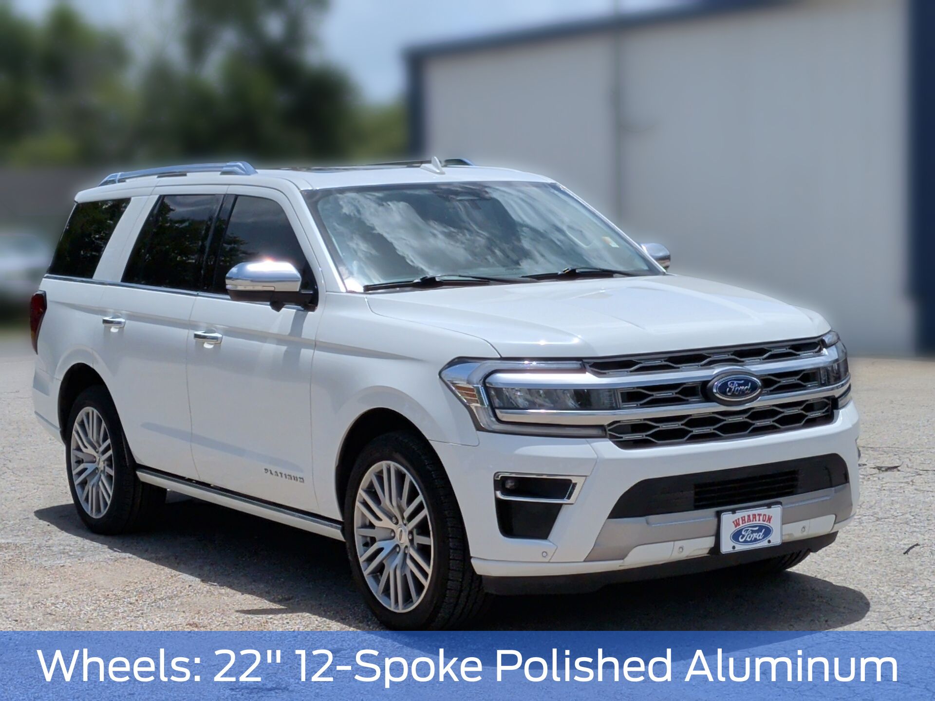 2023 Ford Expedition Platinum - 7