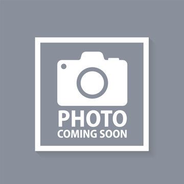 Black 2025 INFINITI QX80 Sensory 4WD SUV / Crossover All-Wheel Drive 9-Speed Automatic