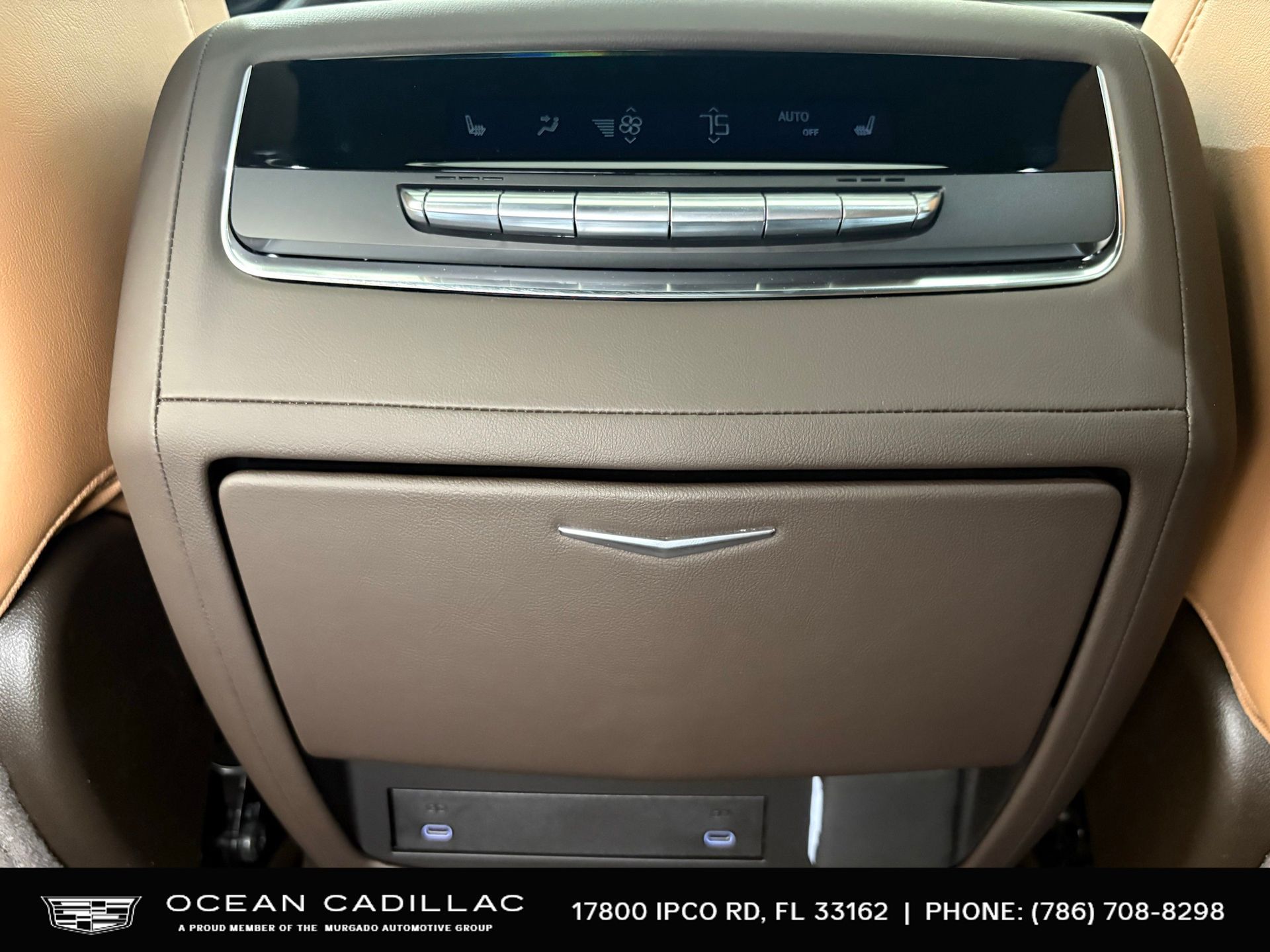 2025 Cadillac Escalade Premium Luxury 31