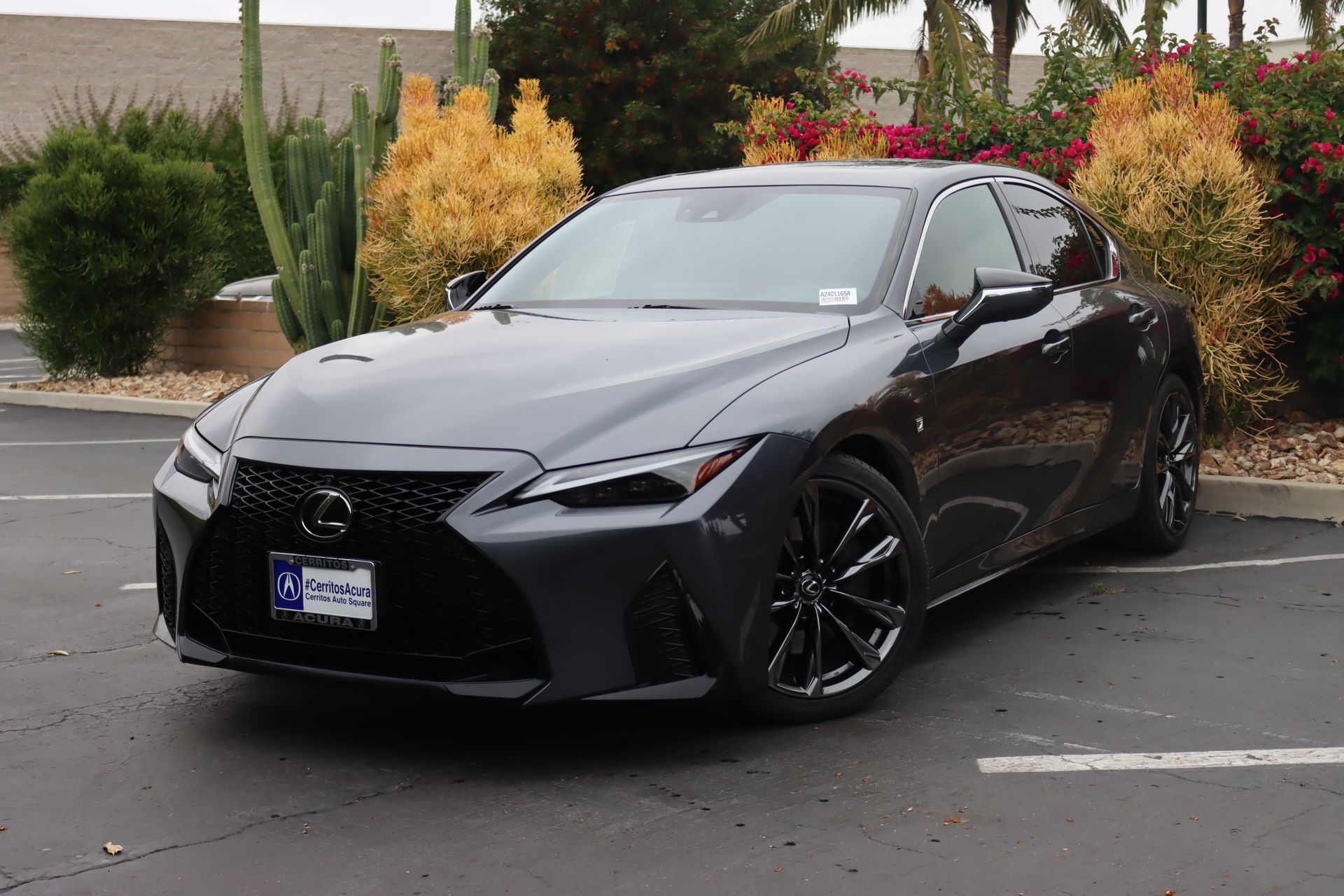 2023 Lexus IS IS photo