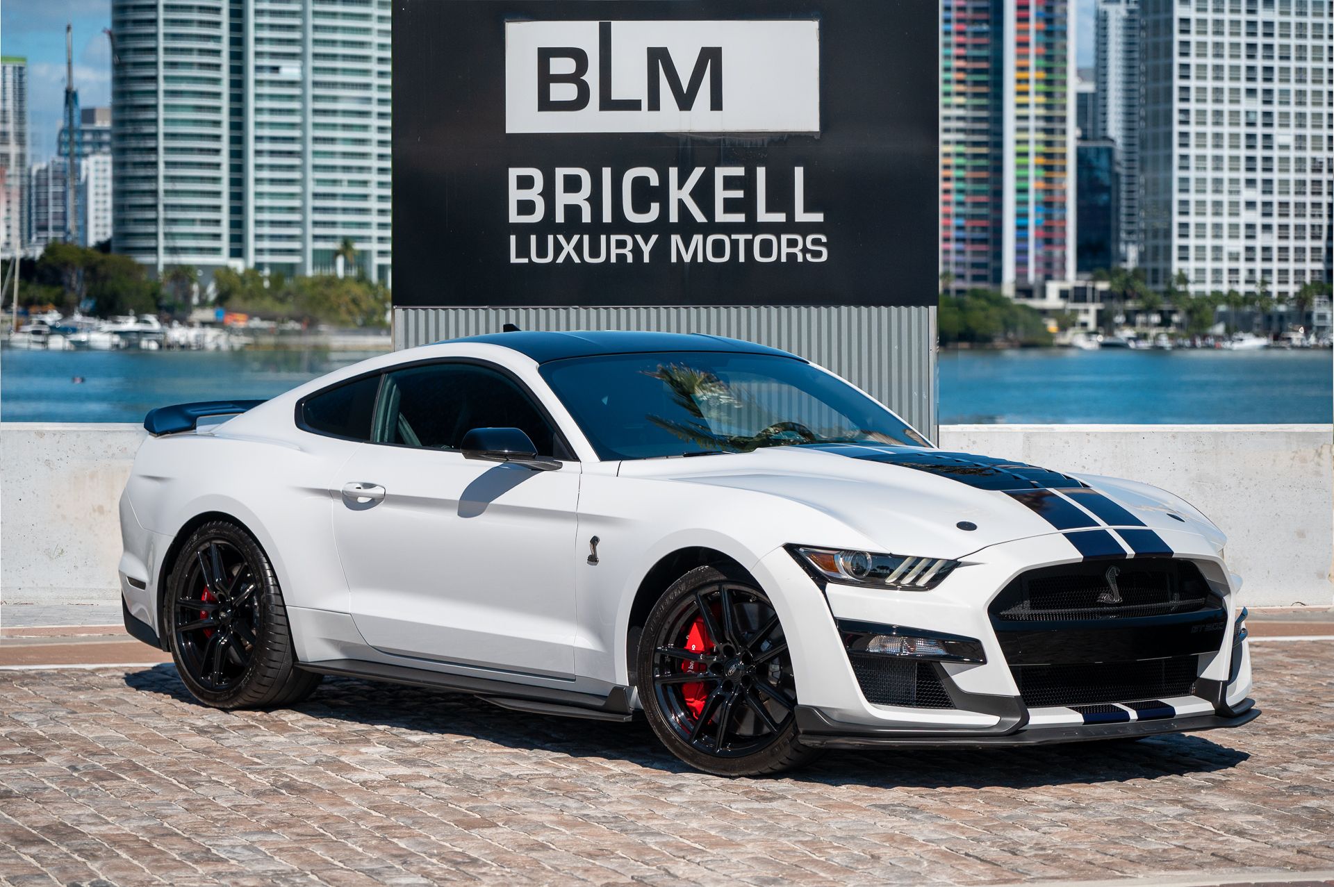 2022 Ford Mustang Shelby GT500's photo