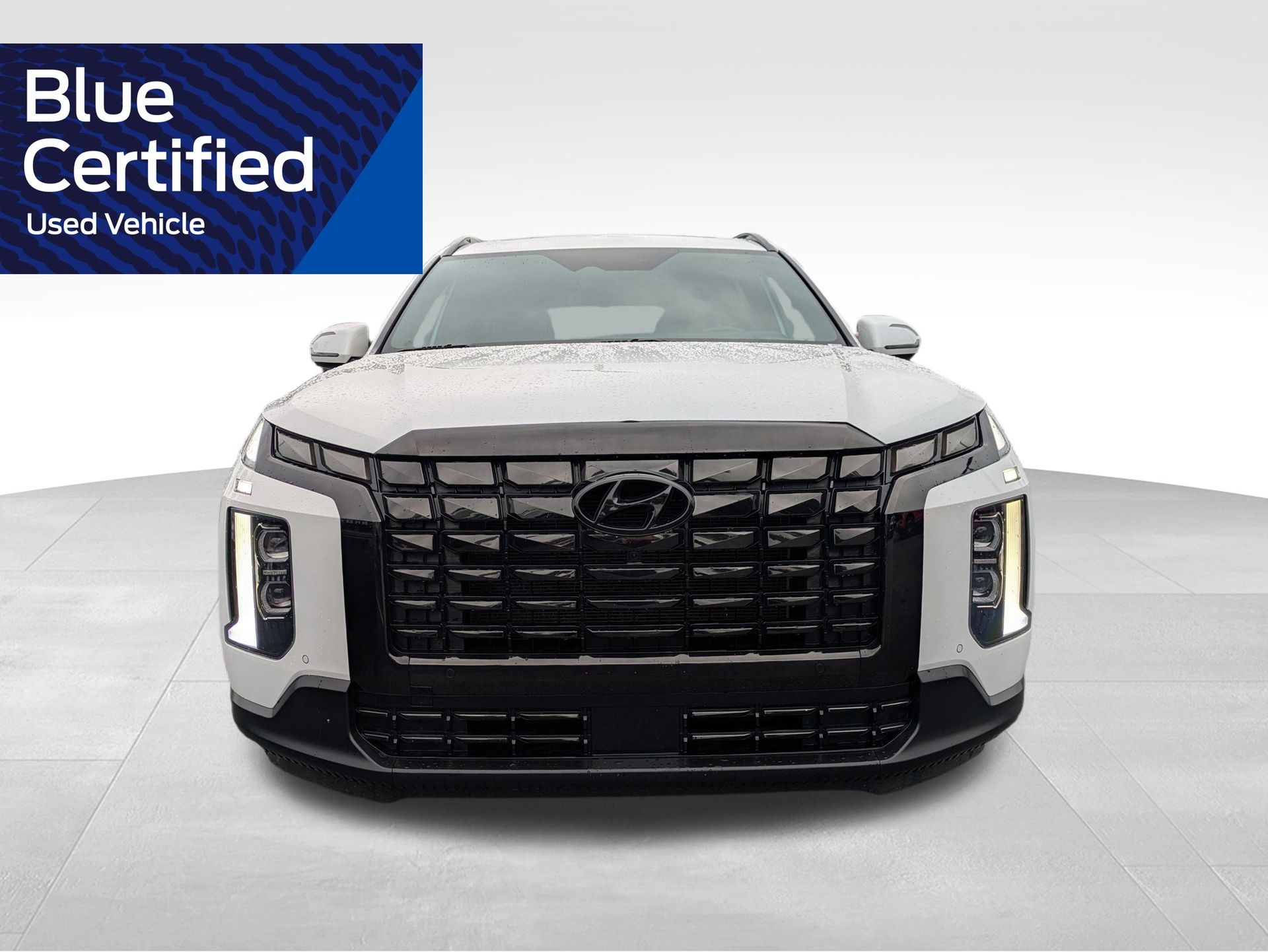 2024 Hyundai Palisade Calligraphy Night Edition White at Bob Mills Chevrolet
